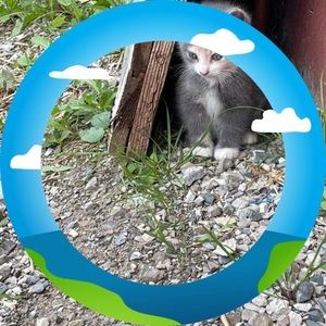 Meet your Posher, Poco